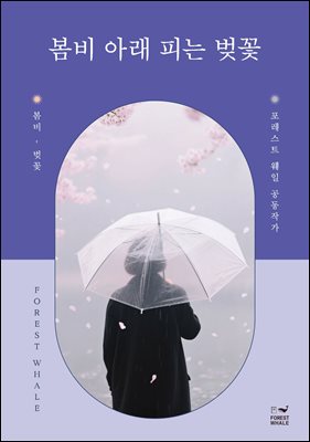 봄비 아래 피는 벚꽃